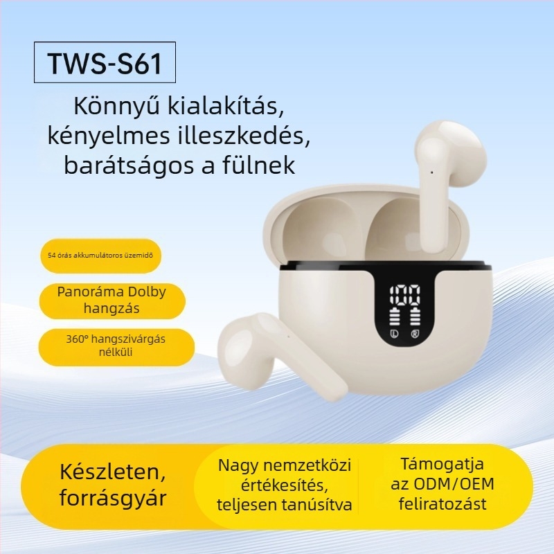 Zayson TWS Bluetooth 5.3 fülhallgató, HD digitális kijelző, zajcsökkentés, IPX5 vízállóság, 4–8 óra üzemidő