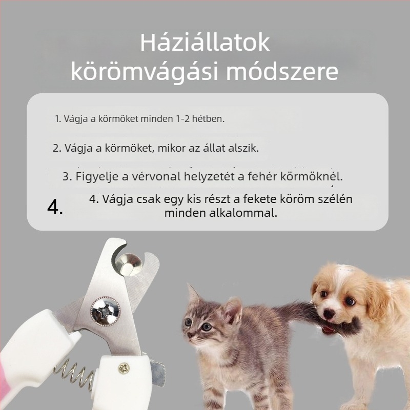 Kutyaköröm vágó olló, rozsdamentes acél, fájl, 60 darab, Han han le