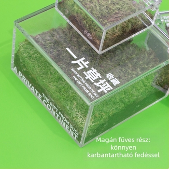 Rice Magpie Akril Moss Micro Landscape asztali üveg — testreszabható forma, egyszerű stílus, logó nyomtatás elérhető