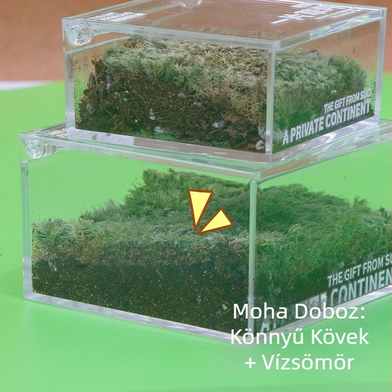 Rice Magpie Akril Moss Micro Landscape asztali üveg — testreszabható forma, egyszerű stílus, logó nyomtatás elérhető