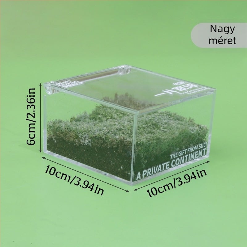Rice Magpie Akril Moss Micro Landscape asztali üveg — testreszabható forma, egyszerű stílus, logó nyomtatás elérhető
