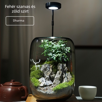 Üvegből készült mohás mini tájkép – szarvaserdő stílus, növényi kézművesség, habos dobozban csomagolva