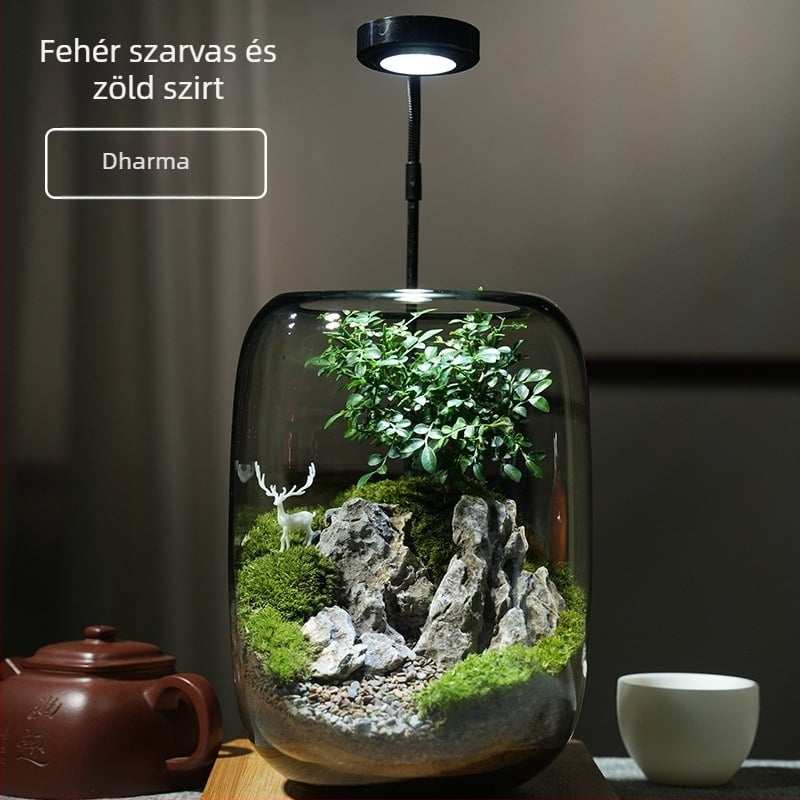 Üvegből készült mohás mini tájkép – szarvaserdő stílus, növényi kézművesség, habos dobozban csomagolva