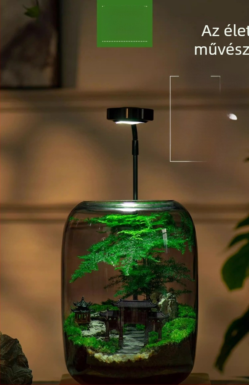 Üveg mohás mikro tájkép – irodai bonsai dekoráció (Anyag: Üveg, Kézművesség: Egyéb, Importált: Nem, Ajándék: Nem, IP engedély: Nem)