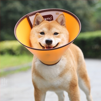 Elizabeth Állati Nyakörv - Operáció utáni, Nyalás elleni és Harapás elleni, Lélegző kivágásokkal macskáknak és kutyáknak