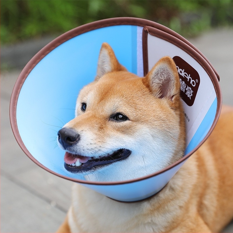 Elizabeth Állati Nyakörv - Operáció utáni, Nyalás elleni és Harapás elleni, Lélegző kivágásokkal macskáknak és kutyáknak