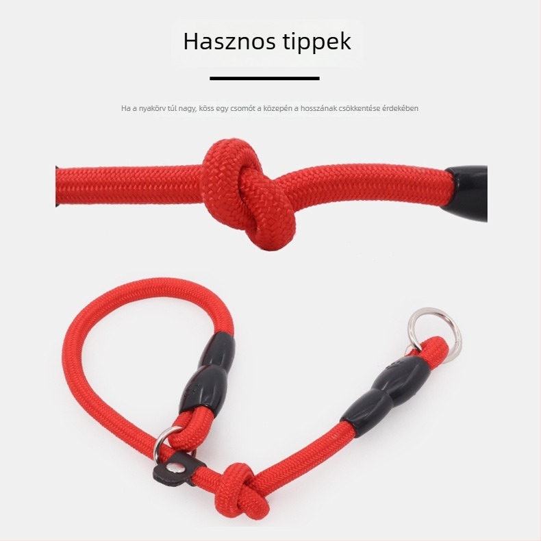 Nylon kutya nyakörv kötél-lánccsal, márka Shubai/Surepet, licencelt magáncímke, csomagolás 100 darab