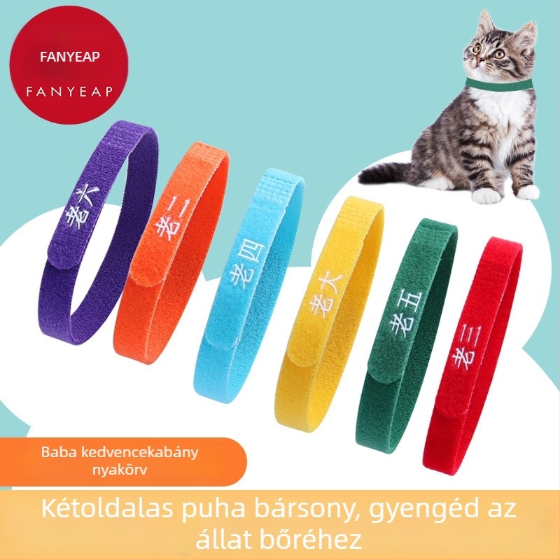 A1V Azonosító Nyakörv Kölyökkutyáknak, Kiscicáknak és Macskáknak