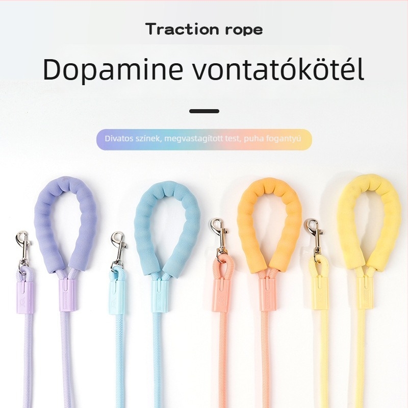 Színes nylon póráz kültéri sétákhoz