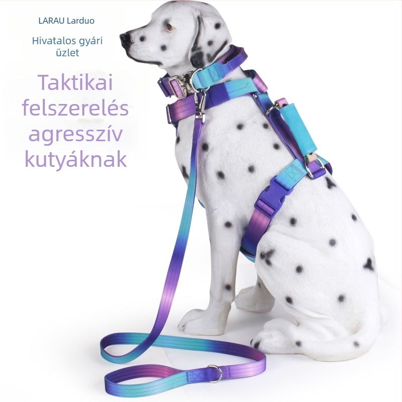 Kutyapóráz és hám taktikai nyakörvvel kültéri edzéshez