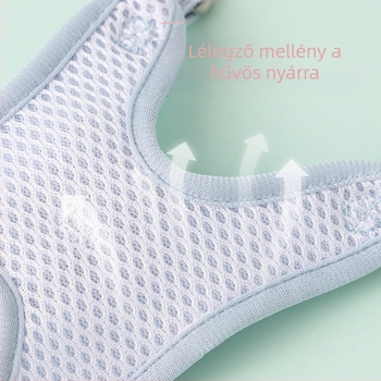 Macska póráz és állítható hám, Corduroy anyag, Eredet Zhejiang, Kategória: háziállat-láncok és kötele