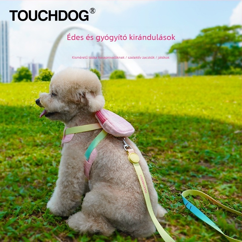 Nylon kutya hám – állítható, márka Touchdog it it