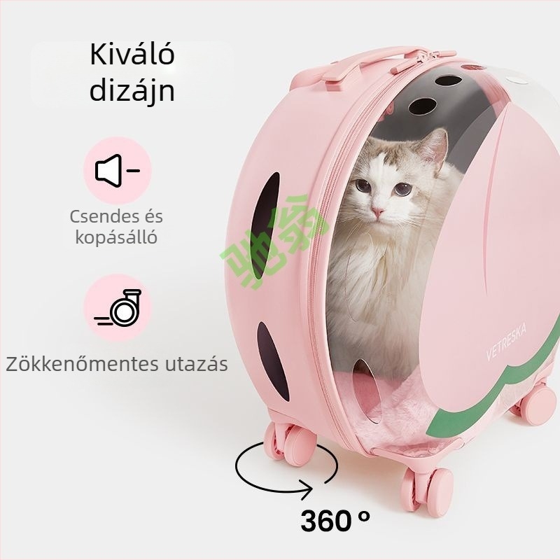 Buborék kapszulás állat szállító, hordozható hátizsák macskáknak és kutyáknak