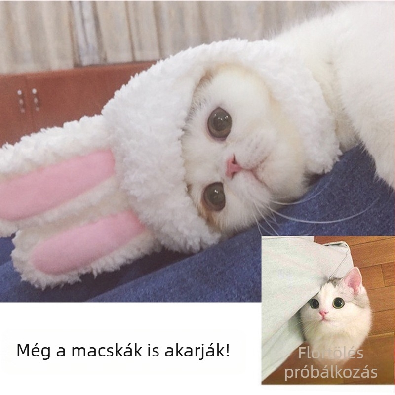 Macskafülös fejfedő és nyuszis jelmez – aranyos háziállat-kiegészítő előadásokhoz