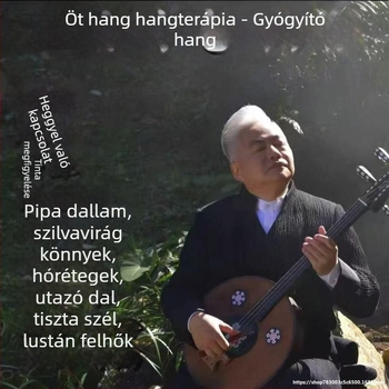 USB zenei lemez pentatonikus kínai hangszerekhez — piano, pipa, guzheng; kiváló minőségű tea-szoba háttérzene; autóba szerelhető; kijelző nélküli