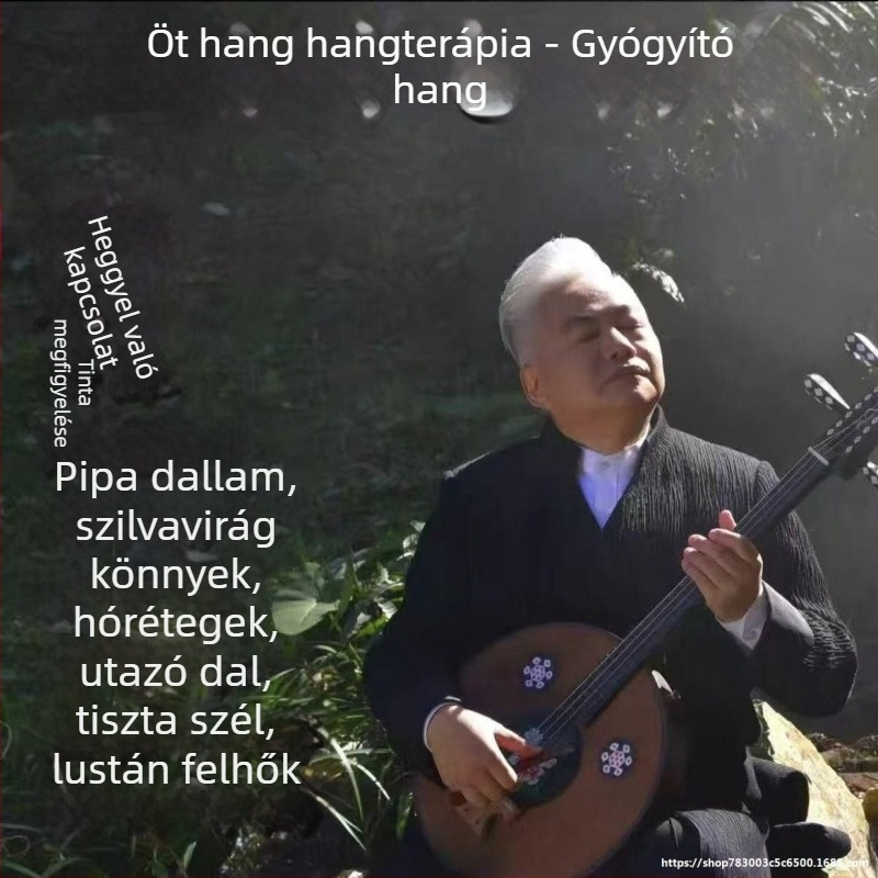 USB zenei lemez pentatonikus kínai hangszerekhez — piano, pipa, guzheng; kiváló minőségű tea-szoba háttérzene; autóba szerelhető; kijelző nélküli