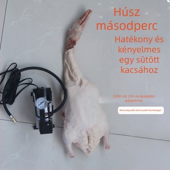 Többfunkciós felfújópumpa sült húsokhoz, baromfihoz és szarvasmarhához (240V, 220W, USB, Digitális kijelző, >2 hengerek)