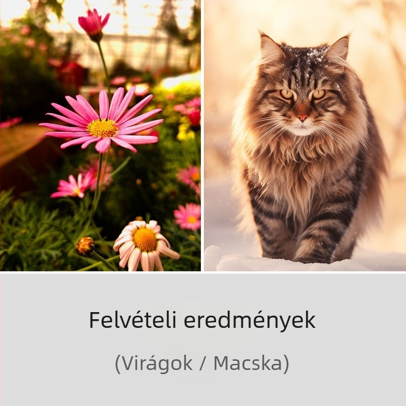 AMKOV WD01 Vízálló sportdigitális kamera IP68 5 m-ig, 24MP CMOS, periszkópos objektív, USB 2.0, SD-kártya tárolás