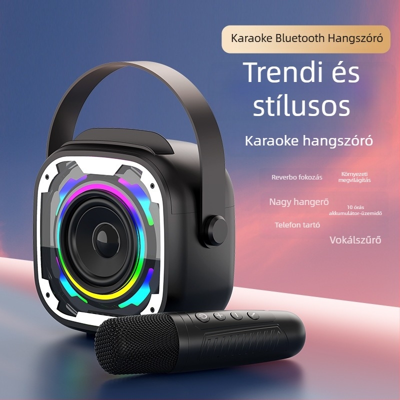 V11 vezeték nélküli Bluetooth mini hangszóró mikrofonnal – karaoké hangrendszer minden egyben, hordozható asztali mélynyomó