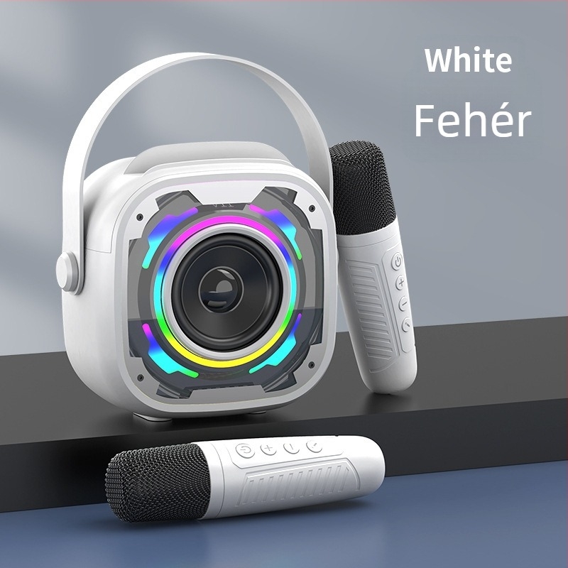 V11 vezeték nélküli Bluetooth mini hangszóró mikrofonnal – karaoké hangrendszer minden egyben, hordozható asztali mélynyomó