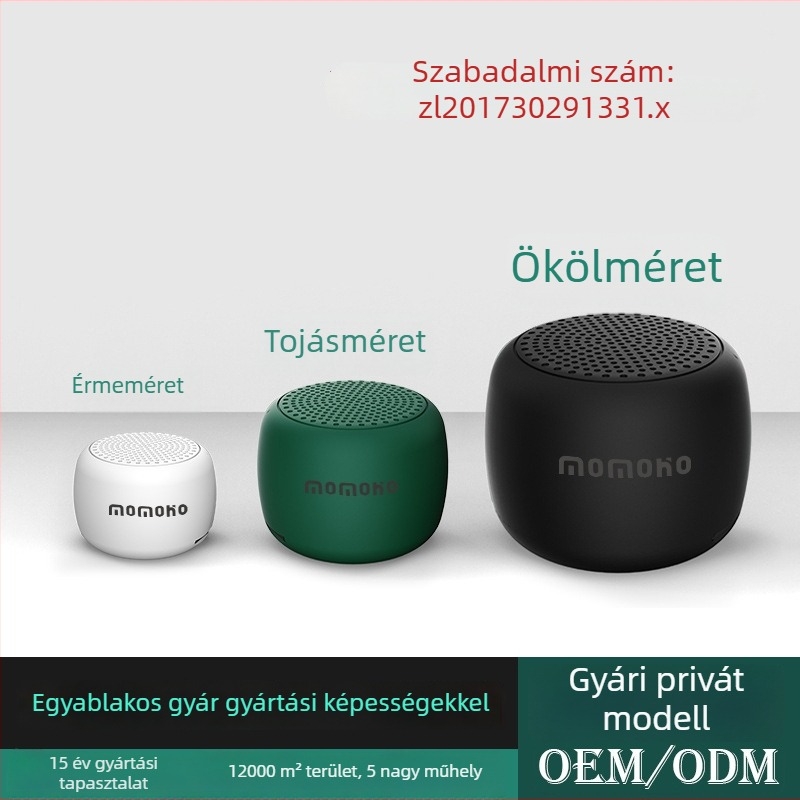 Mini Bluetooth hangszóró hangutasításokkal, kártyafoglalattal és hordozó pánttal