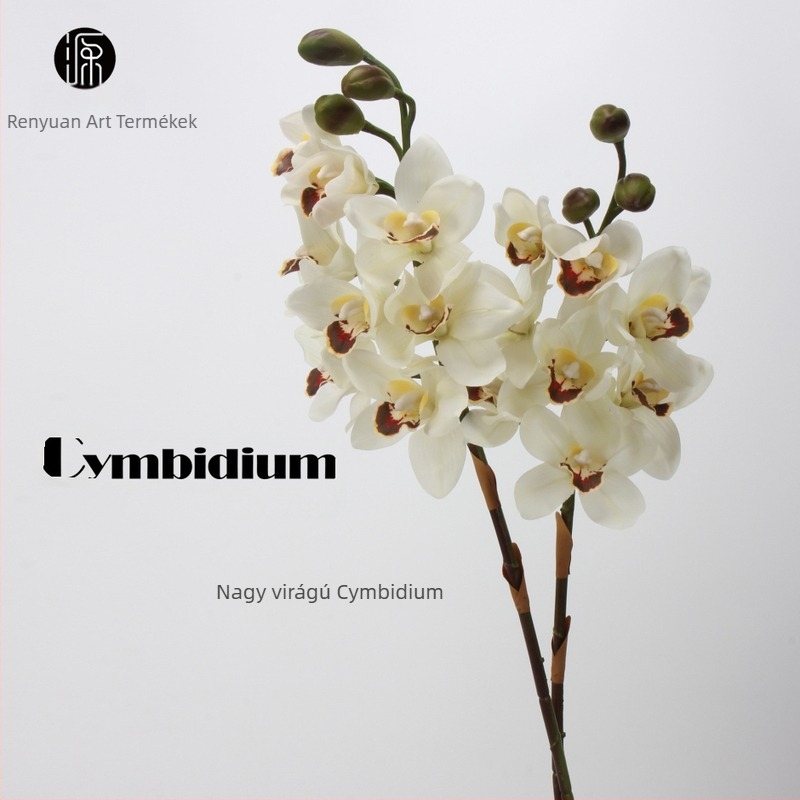 Selyem Cymbidium orchidea csokor – 8 fej és 3 bimbó, nedvesítő érzet, karton csomagolás