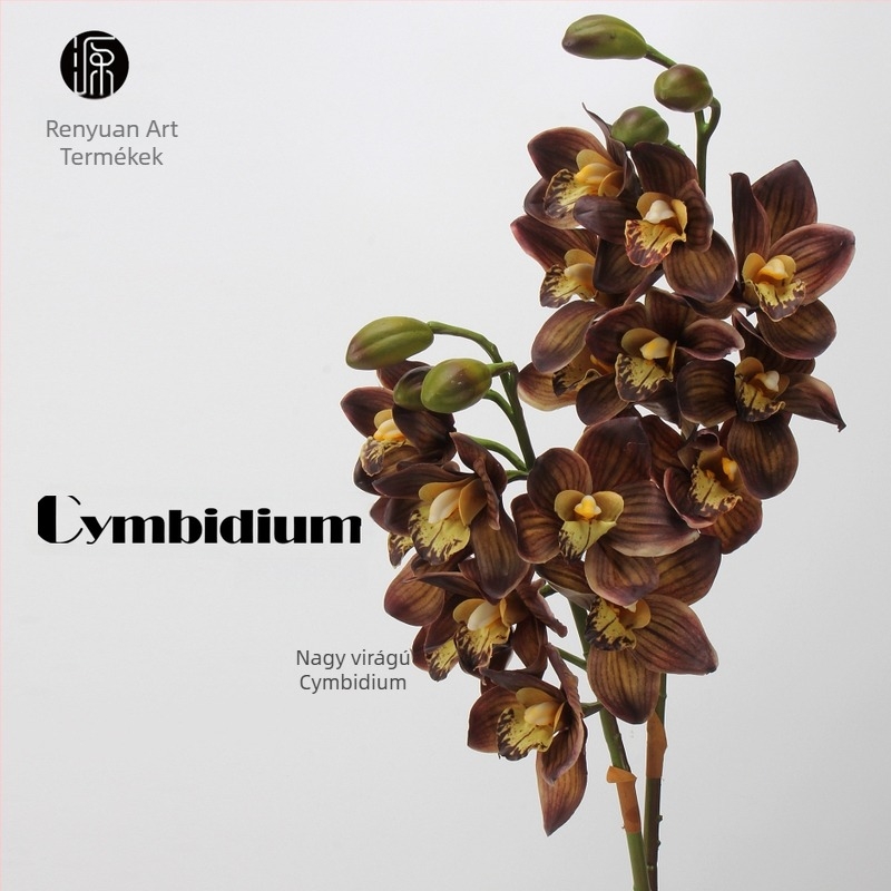 Selyem Cymbidium orchidea csokor – 8 fej és 3 bimbó, nedvesítő érzet, karton csomagolás