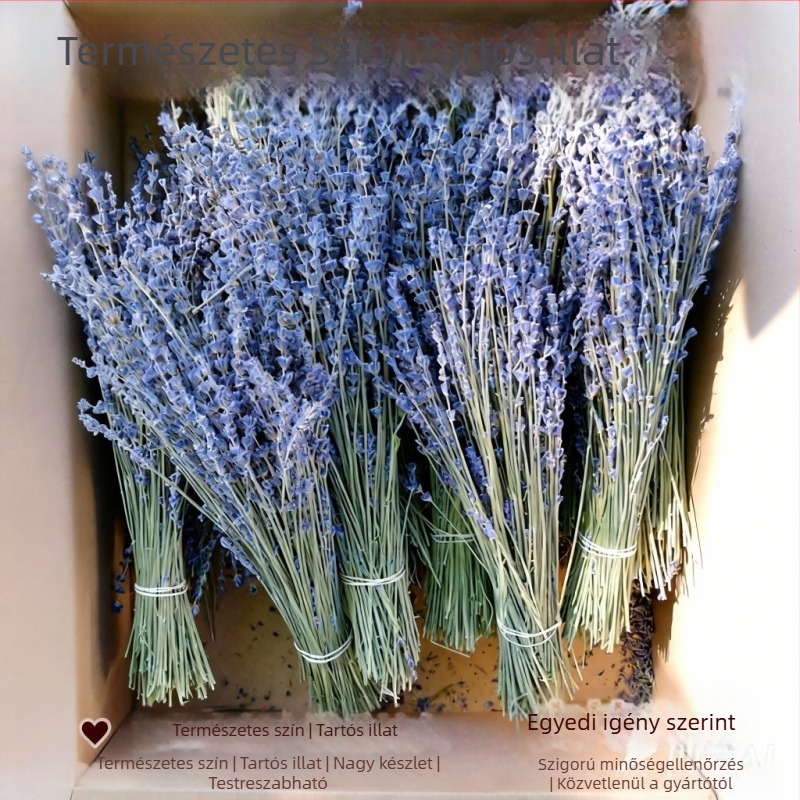 Levendulás virágcsokor, szárított virágok, natúr, színezés nélkül, szárított ágak, alkalmas aromaterápiára, csomagolás: OPP zacskó