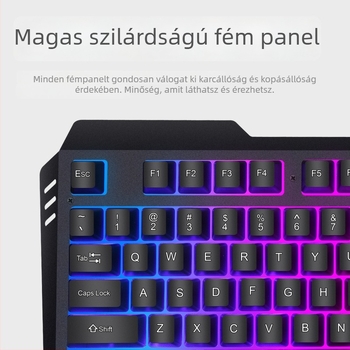 Kábeles billentyűzet és egér készlet fém vázú, RGB háttérvilágítással, 1200dpi optikai érzékelő, 1,4 m kábel, ergonómiai kialakítás, logó nyomtatás elérhető