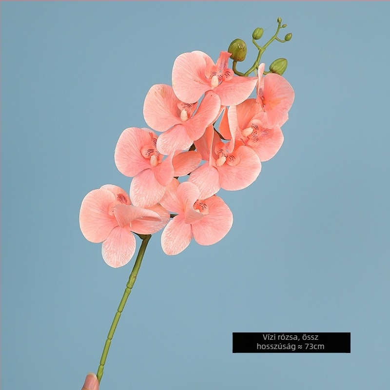 Phalaenopsis selyem orchidea, egyágú művirág; anyag: selyemtextil; fajta: Phalaenopsis; mesterség: festett, texturált, reliefes, injekciós formázás