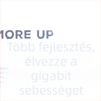 Cat6 Ethernet hálózati kábel kettős csatlakozóval