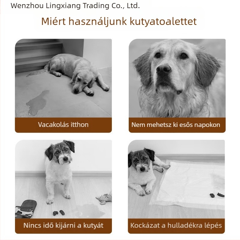 Kutyatoalett edzésre – ABS műanyag, hálókeret és ürítőtálca, megemelt dizájn a spriccelés elleni védelem | Lingxiang