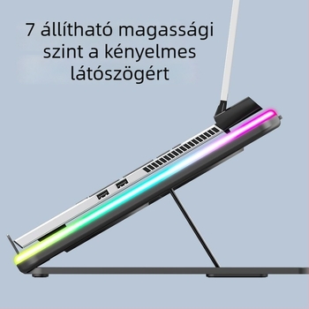 Laptop hűtőpad kettős ventilátorral, ABS anyag