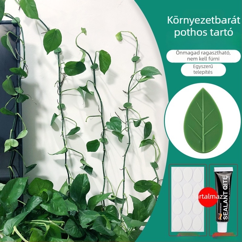 Növényfixátor falra kapaszkodó kampóval – nyom nélkül (Márka: Egyéb)