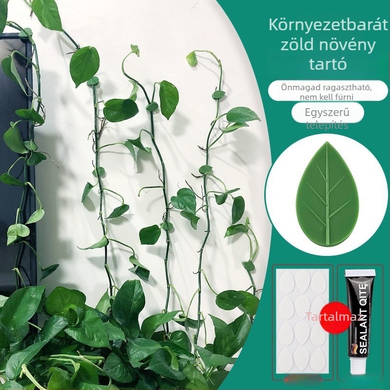 Növényfixátor falra kapaszkodó kampóval – nyom nélkül (Márka: Egyéb)