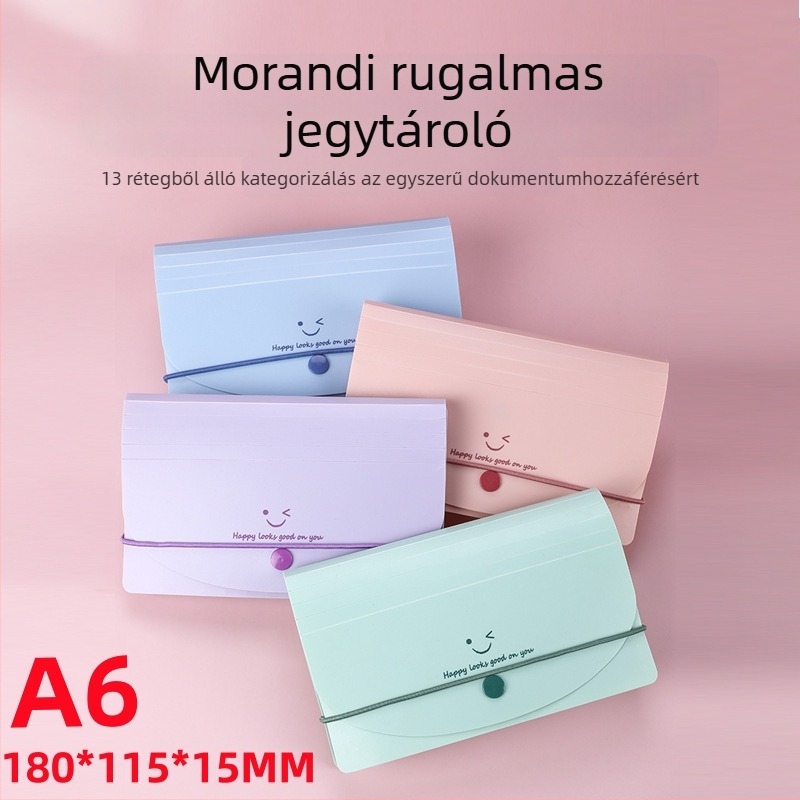 A6 PP irattartó 13 rekesszel, akordeon-stílus, vízálló ÁFA számlaosztályozás, Smiley Face sorozat