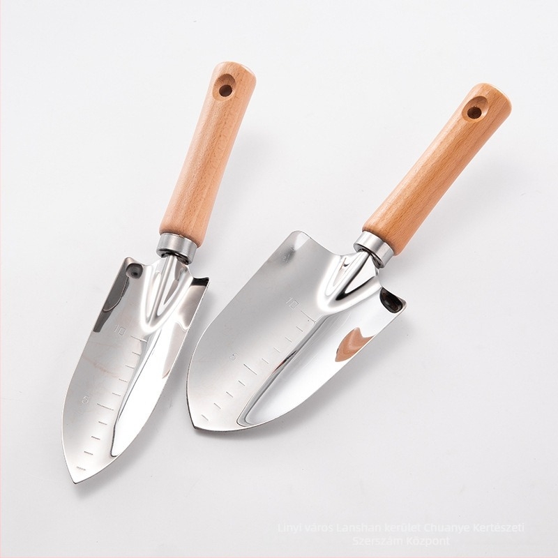 Kerti ásó rozsdamentes acél testtel és fa markolattal, ásófej hossza 60, fej szélessége 50.