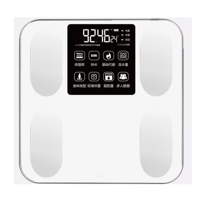 Súlymérleg, nagy pontosságú, újratölthető, digitális, 100 kg kapacitás