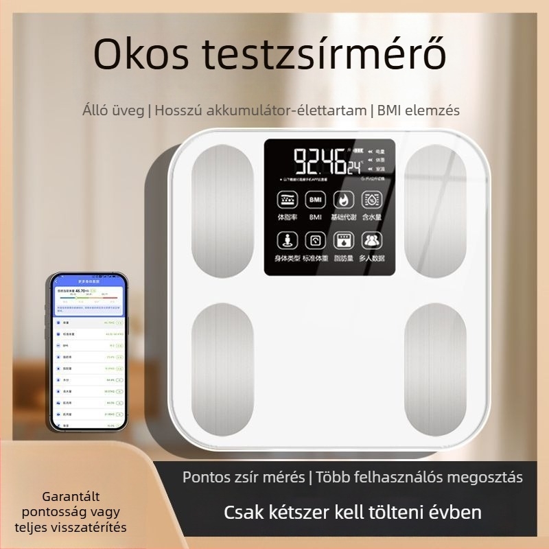 Súlymérleg, nagy pontosságú, újratölthető, digitális, 100 kg kapacitás
