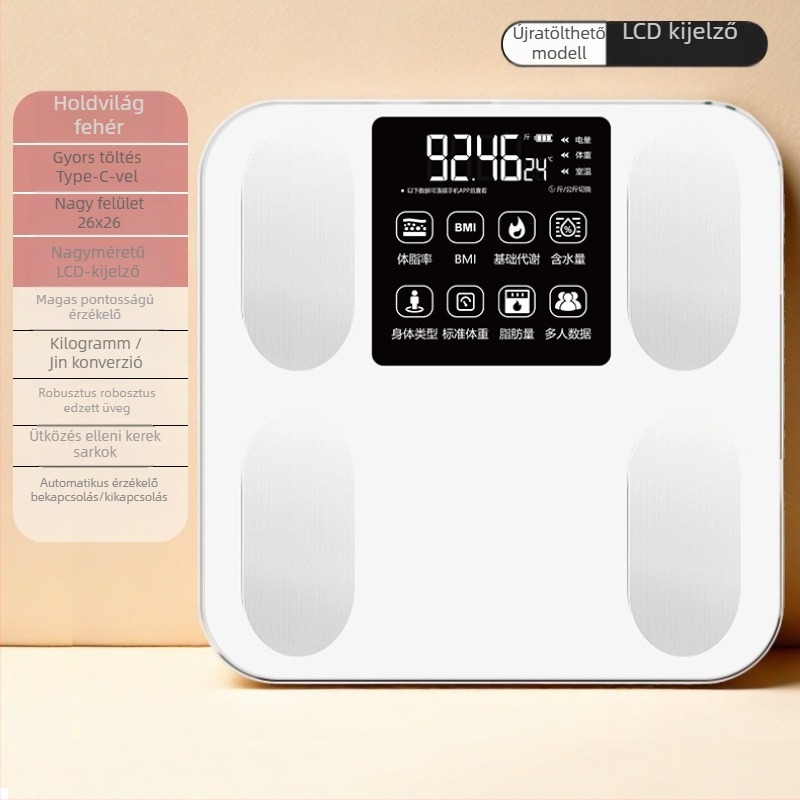 Súlymérleg, nagy pontosságú, újratölthető, digitális, 100 kg kapacitás