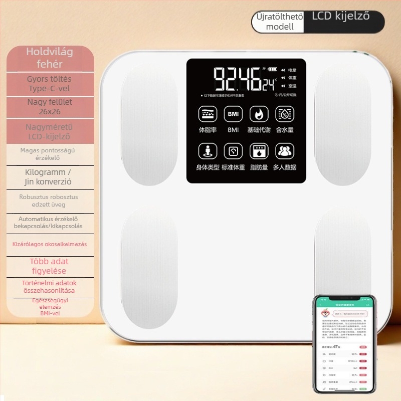 Súlymérleg, nagy pontosságú, újratölthető, digitális, 100 kg kapacitás