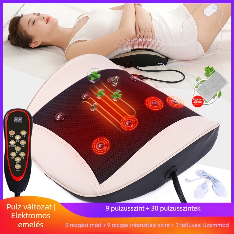 Hát- és derékmasszírozó párnával, 2 masszázsfej, 3 fokozat, időzítő, dugaszolható tápegység, Aiyoukang