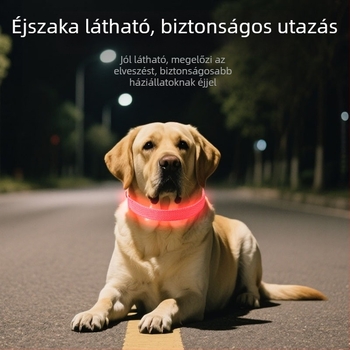 LED világító anti-eltűnés kutyanyakörv éjszakai sétákhoz, műanyagból, egyszínű mintával, univerzális illeszkedés, minden évszakhoz