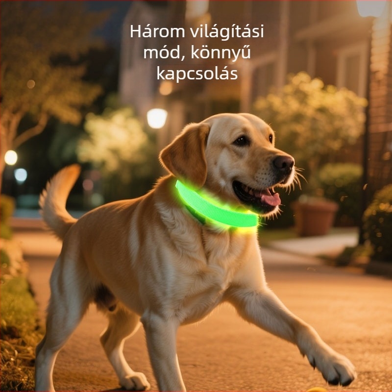 LED világító anti-eltűnés kutyanyakörv éjszakai sétákhoz, műanyagból, egyszínű mintával, univerzális illeszkedés, minden évszakhoz