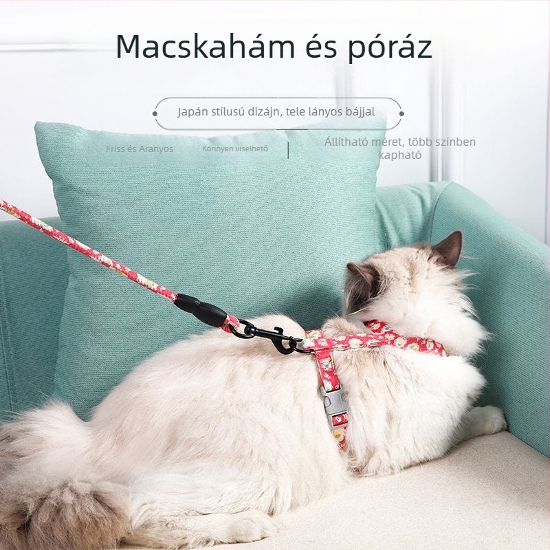Állítható macska póráz és hám – szökés elleni védelem, macskáknak és kiscicáknak