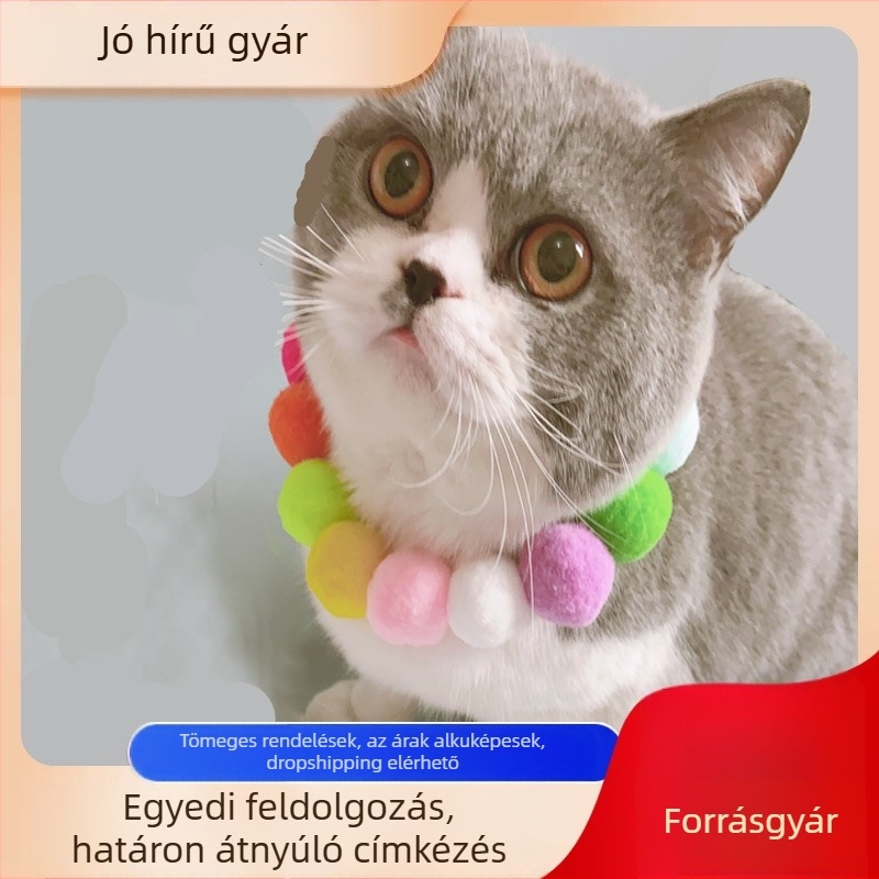 Színes golyós nyakörv macskáknak és kistestű kutyáknak, fotórekvizítum háziállatok számára