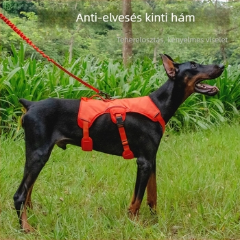 Kutyamellkas pánt (Nylon; Nem húzható vissza; Márka: Cool Rui)