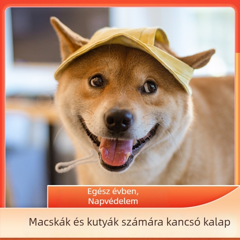 Állatbarát sapka kutyáknak és macskáknak, vászon anyag, graffiti minta, tie-dye feldolgozás, sima szövés, négy évszakos laza stílus