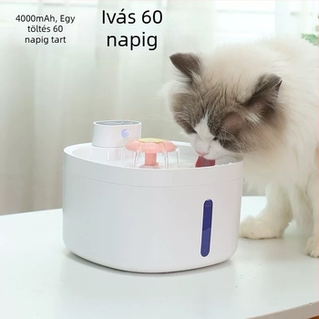DC07 Háziállat vízadagoló macskáknak és kutyáknak – Lecsatolható, 1 kg