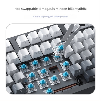 Gaming mechanikus billentyűzet zöld kapcsolókkal, 98+ billentyű, vezetékes USB-C csatlakozás, RGB háttérvilágítás